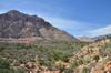 Red Rock Canyon DSC_2993
