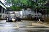 next photo: Cows resting in the rain