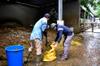 next photo: Loading up the manure.