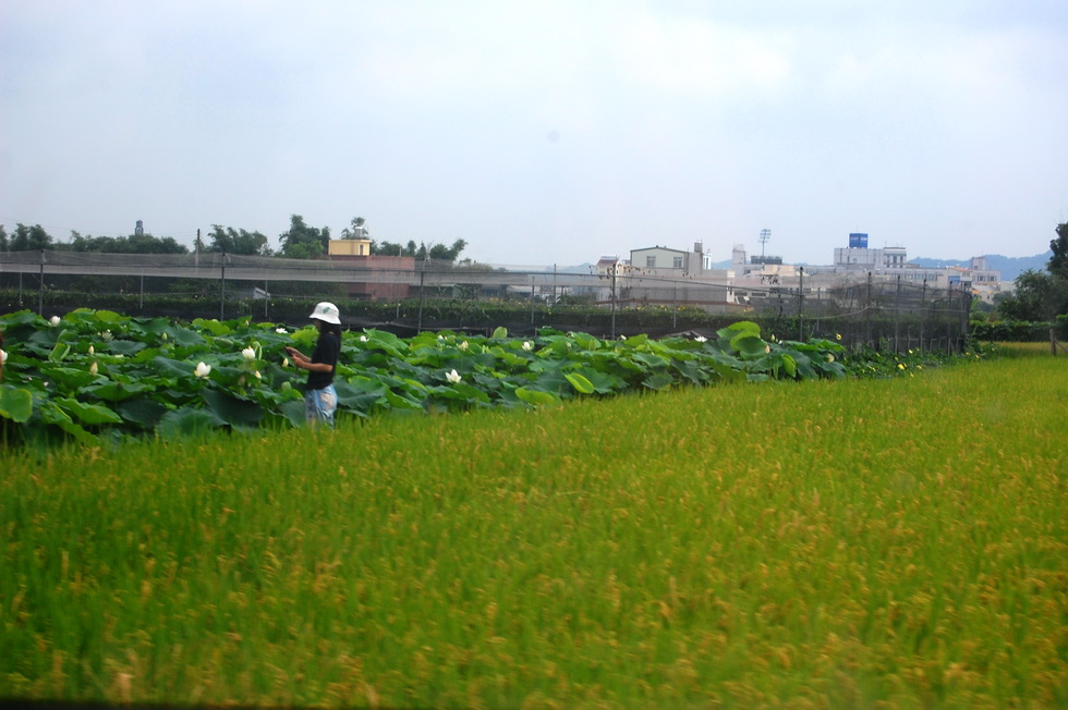 Miaoli visit 苗栗 DSC_1260