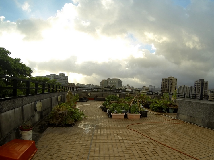 Buluo rooftop garden, July GOPR1513
