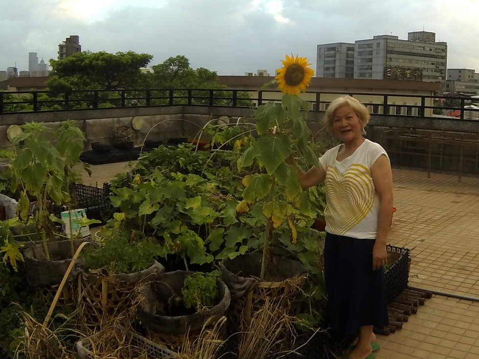 Buluo rooftop garden, July GOPR1520