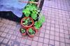 next photo: Hearty coriander in small pots