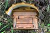 next photo: Front view of the bee hives