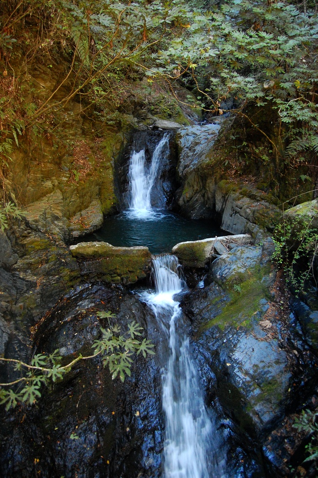 Taoshan 桃山 DSC_6980