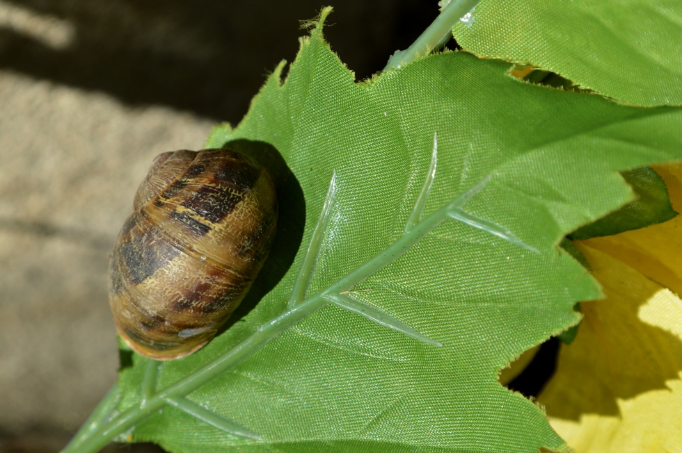 France DSC_1255