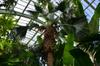 next photo: looking up from inside the greenhouse