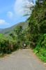 next photo: trail head at fenced off road