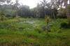 next photo: Large pond for greywater and crop production
