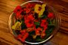 next photo: nasturtium salad