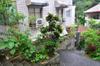 next photo: Stairway planter gardening
