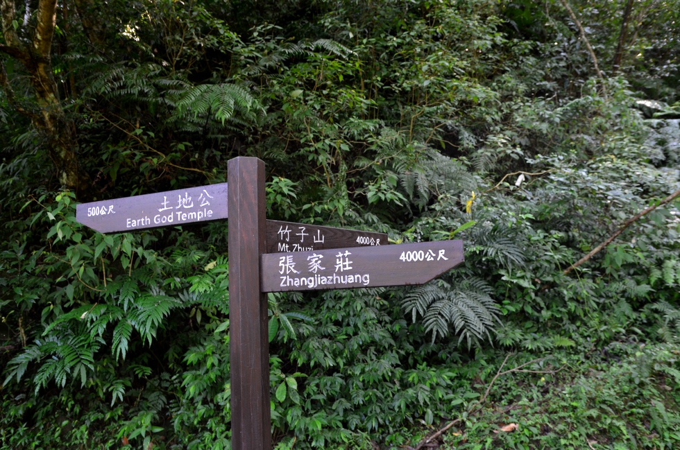 Wantan trail 灣潭古道 explore DSC_9396