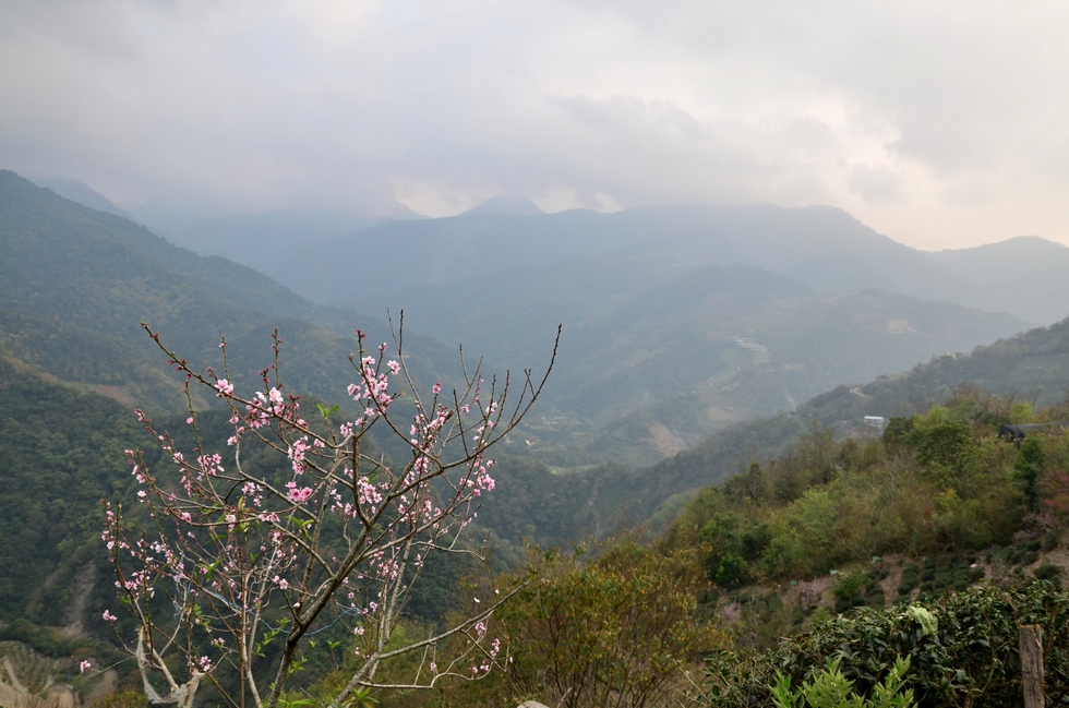 Daluowan stream 塔羅灣溪 DSC_0190