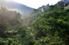 next photo: the valley and stream below our house