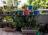 Reorganizng and getting ready for moving out to garden projects