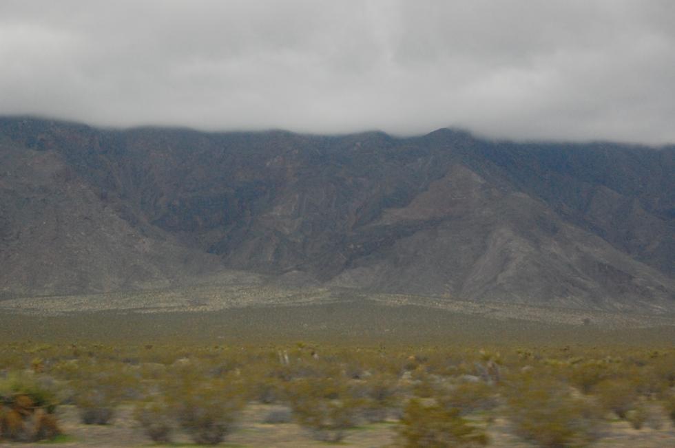 Nevada DSC_8347