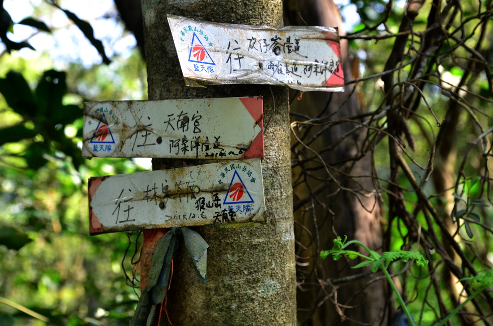Shenkeng 深坑 - Monkey Mountain ridge 猴山岳 - Caonan 草湳 DSC_0973