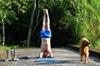 James in headstand with Tane on the bridge