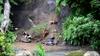 dogs exploring a new landslide over the stream