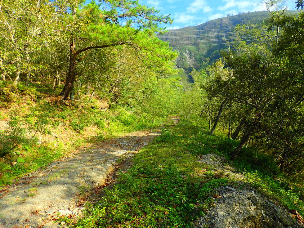 Danda Road 丹大林道 P9140322