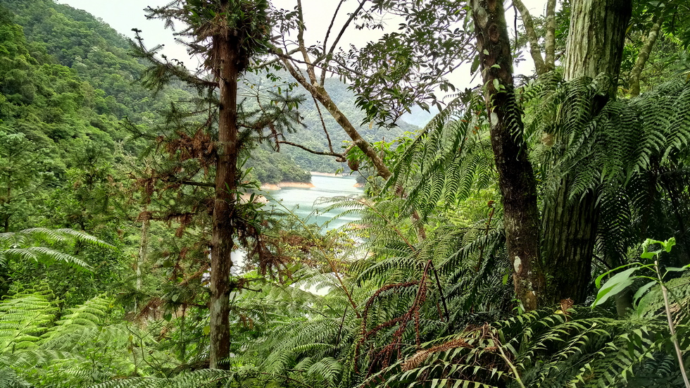 Feitsui Reservoir 翡翠水庫 IMG_20190505_114406_9