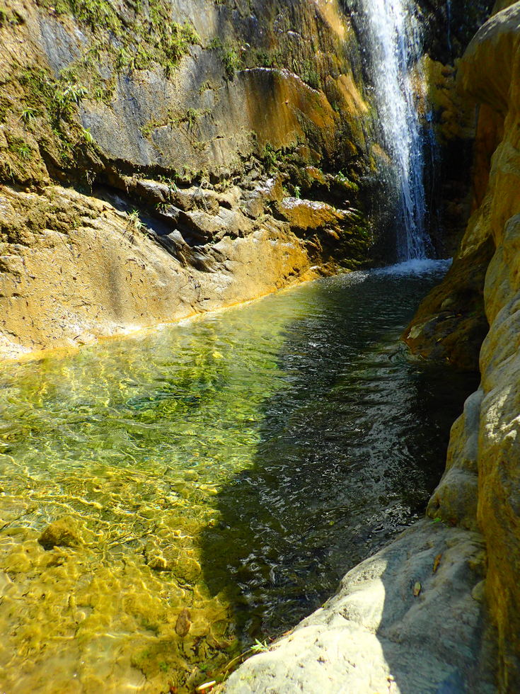 Danda stream 丹大溪 Hot springs survey P3020580