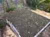 plant seedling bed
