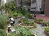 next photo: Jingan Edible Rain Garden getting some love