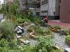 next photo: Jingan Edible Rain Garden getting some love