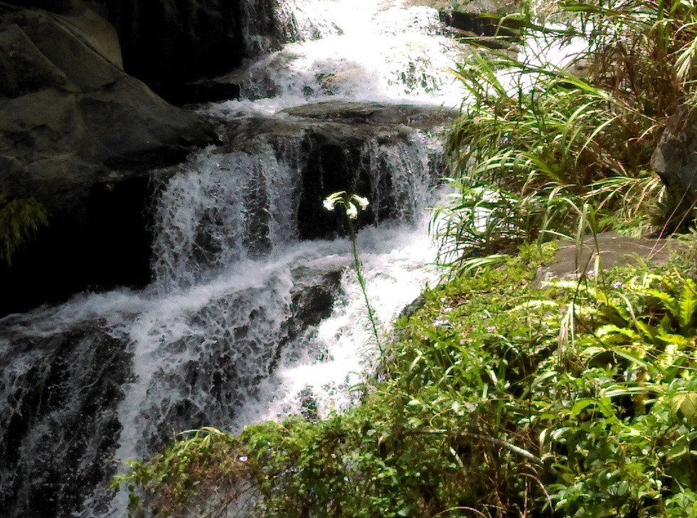Miaoli 苗栗 Nanzhuang 南庄 streams and waterfalls IMAG6153