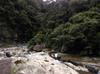 Miaoli 苗栗 Nanzhuang 南庄 streams and waterfalls IMAG6144