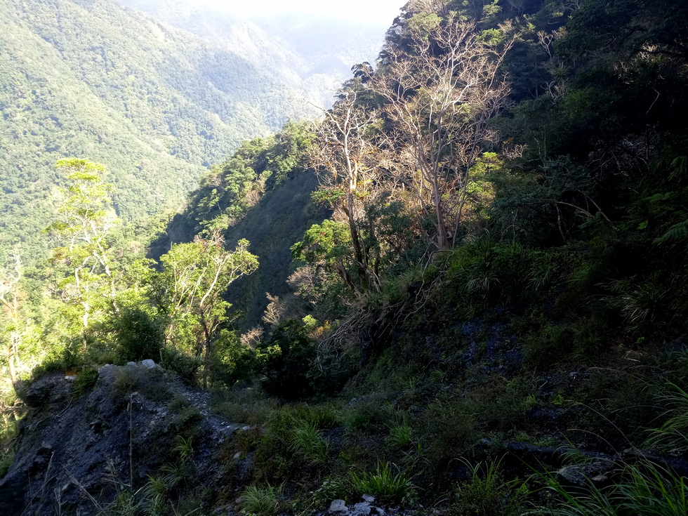 Nanao trail 南澳古道 IMG_20190206_122024_6