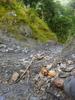 next photo: the landslide that blocked our trip