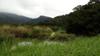 next photo: Quchi 屈尺 wetlands