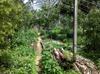 view from the entrance to the hoop house
