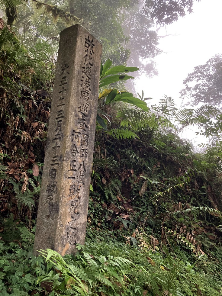 Xinkang hike 新康橫斷線 IMG_0411