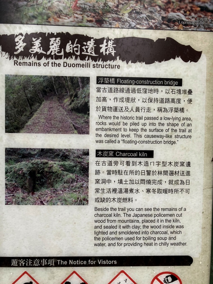 Xinkang hike 新康橫斷線 IMG_0472