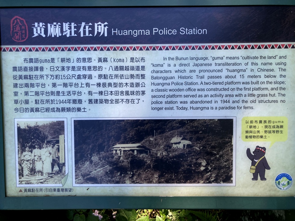 Xinkang hike 新康橫斷線 IMG_0534