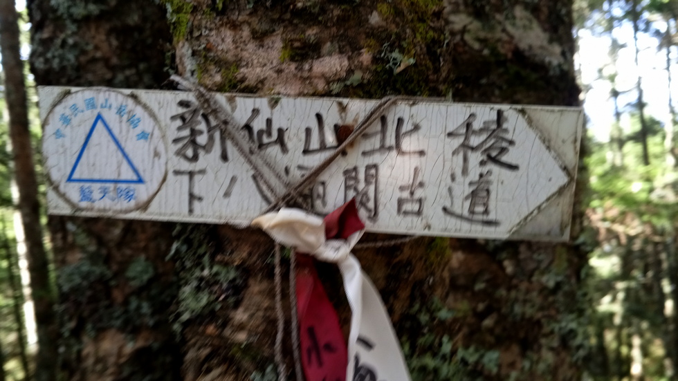 Xinkang hike 新康橫斷線 IMG_20201102_134629_6