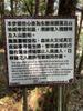 Xinkang hike 新康橫斷線 IMG_0541