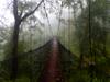next photo: bridge in the mist