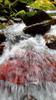 next photo: Lupi Stream 鹿皮溪