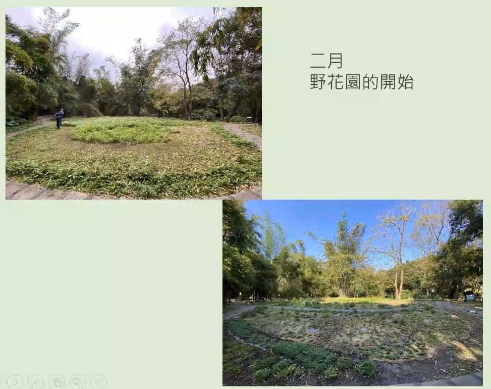 Plant Ark Program 國家植物園方舟計畫 fangzhou-10-16