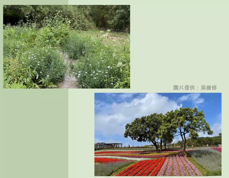 Plant Ark Program 國家植物園方舟計畫 fangzhou-10-3