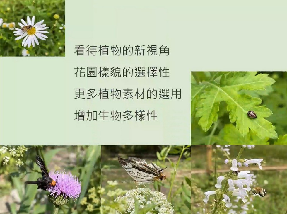 Plant Ark Program 國家植物園方舟計畫 fangzhou-10-4