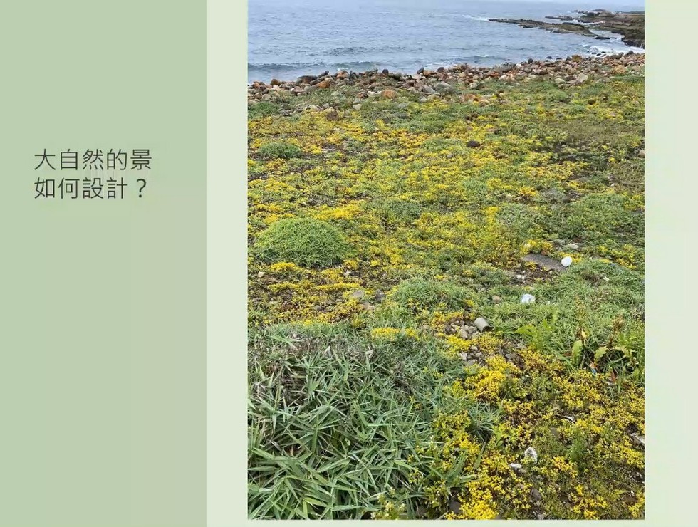 Plant Ark Program 國家植物園方舟計畫 fangzhou-10-5