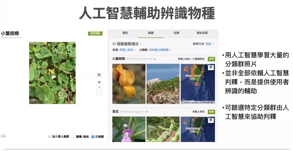 Plant Ark Program 國家植物園方舟計畫 fangzhou-12-8