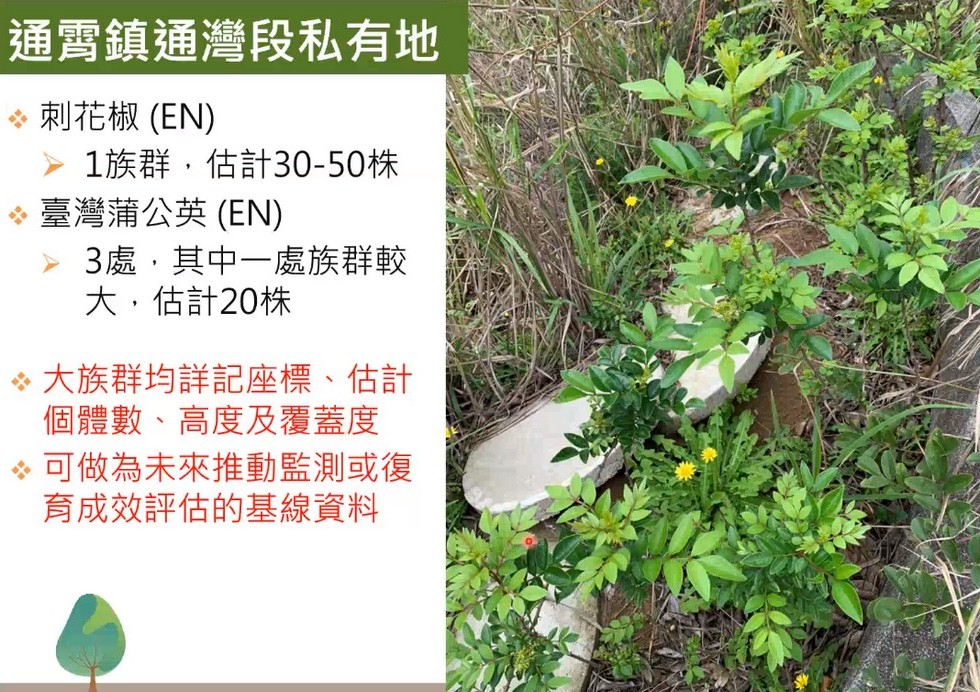 Plant Ark Program 國家植物園方舟計畫 fangzhou-2-11