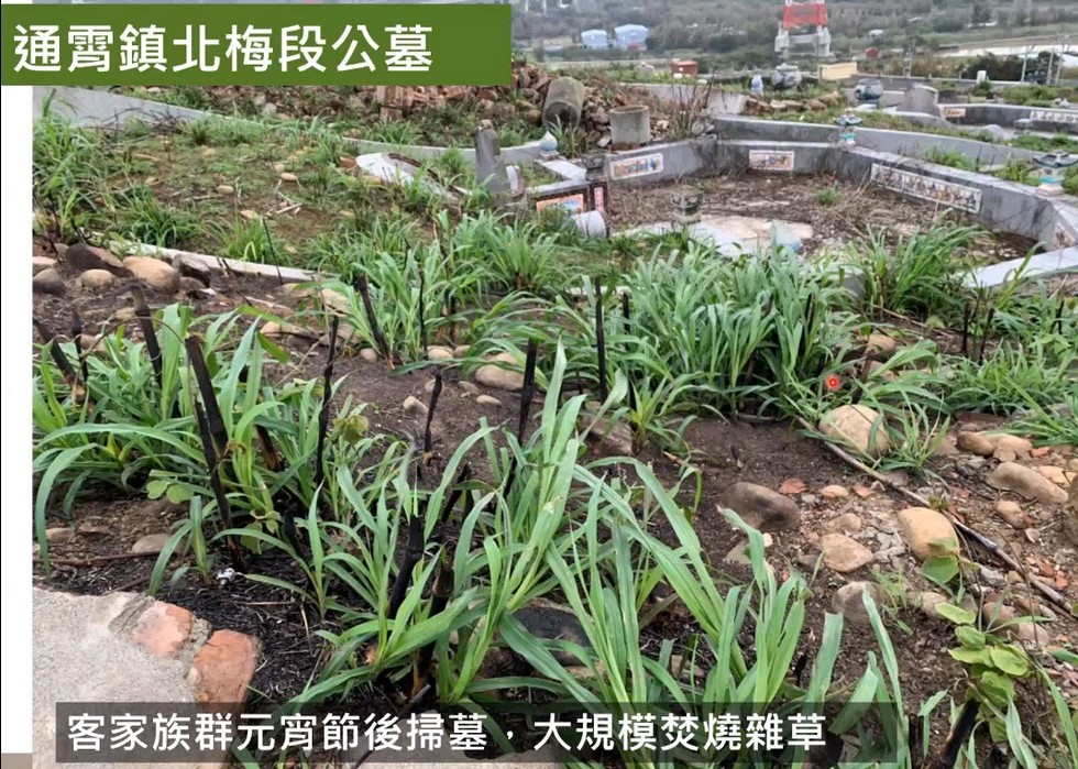 Plant Ark Program 國家植物園方舟計畫 fangzhou-2-12
