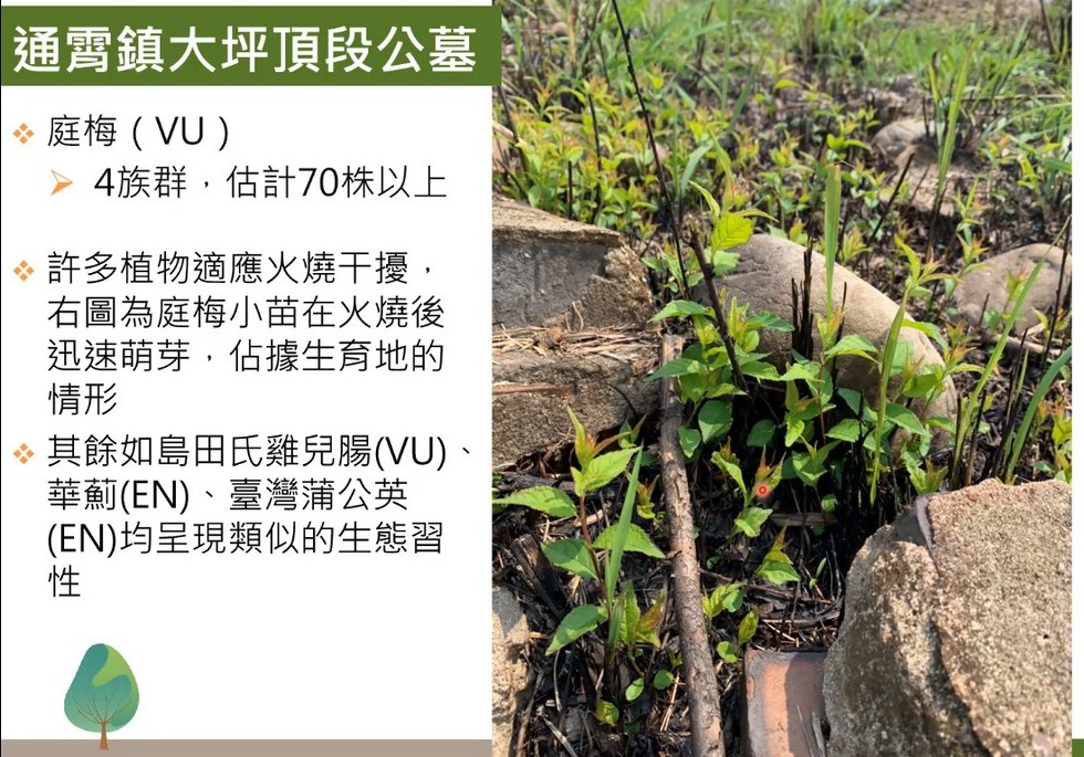 Plant Ark Program 國家植物園方舟計畫 fangzhou-2-13